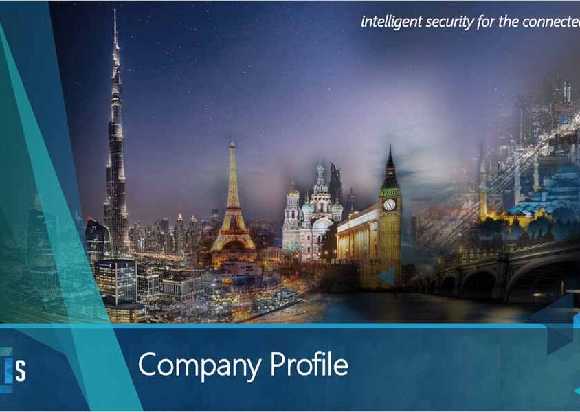 VNS Company Profile